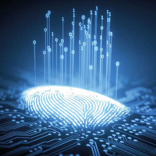 Biometric Solutions