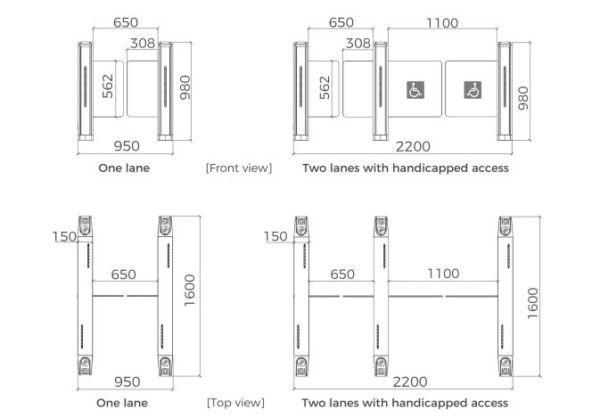 DSN-20 Nebula Optical Swing Turnstile